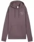 Damen Sweatshirt PUMA CLASS RELAXED HOODIE 68813288 ROSINE