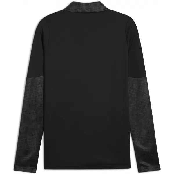  Herren -Sweatshirt PUMA TEAMCUP TRAINING 1/4 ZIP TOP 659164_03 PUMA BLACK/PUMA SILBER 