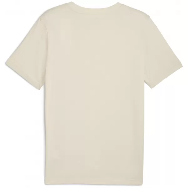  Hemd PUMA GRAPHIC VARSITY TEE 68803587 ALPINER SCHNEE 