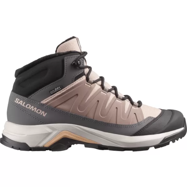  Damenschuhe SALOMON X-ADVENTURE COLDRUSH WATERPROOF W ETHEREA/EISEN/MAHAGONI-ROSE 