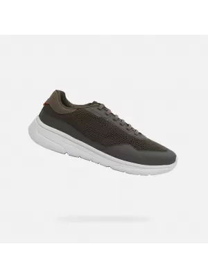 Herren-Sneaker GEOX KLAIVER KHAKI
