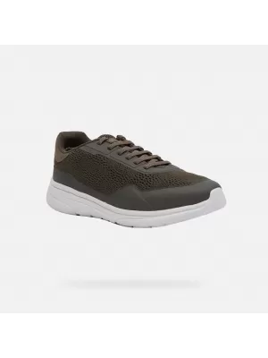 Herren-Sneaker GEOX KLAIVER KHAKI