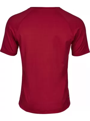 Herren-T-Shirt TEE JAYS | TJ 7020 HRSG