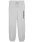 Herren-Jogginghose PUMA M GRAPHIC FRENCH TERRY JOGGER 52770304 HELLGRAUES HEIDEKRAUT