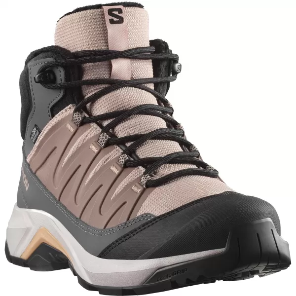  Damenschuhe SALOMON X-ADVENTURE COLDRUSH WATERPROOF W ETHEREA/EISEN/MAHAGONI-ROSE 