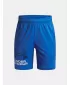 Shorts für Jungen UNDER ARMOUR UA TECH LOGO SHORTS 1383333-402 BLAU