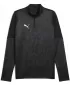 Herren -Sweatshirt PUMA TEAMCUP TRAINING 1/4 ZIP TOP 659164_03 PUMA BLACK/PUMA SILBER
