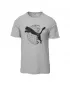 Hemd PUMA TECH GRAPHIC TEE 63219263 GRAUES ECHO
