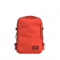 Rot
