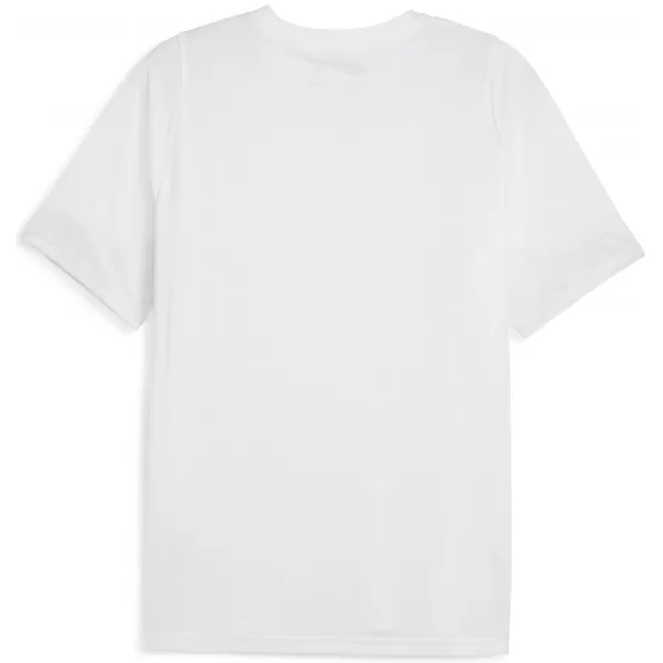  Herren -Trikot PUMA TEAMCUP TRAINING JERSEY 659167_04 PUMA WEIß/PUMA SILBER 