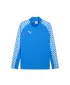 Herren-Sweatshirt PUMA TEAMLIGA26 TRG 1/4 ZIP TOP 659724_02 ELECTRO ROYAL/ ELECTRO ROYAL/PUMA WEIß