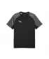 Herren-T-Shirt PUMA TEAMLIGA26 JERSEY 659721_03 PUMA SCHWARZ/PUMA WEIß
