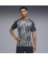 Funktions-T-Shirt für Herren PUMA INDIVIDUALLIGA GRAPH JERSEY 660578_02 MINERAL KOBALT/DAMPFGRAU