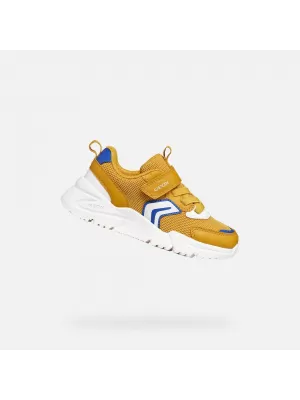 Turnschuhe für Jungen GEOX LOFTUS J55MQB01454C2Q1Z BERNSTEIN