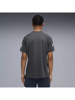 Funktions-T-Shirt für Herren PUMA INDIVIDUALLIGA GRAPH JERSEY 660578_02 MINERAL KOBALT/DAMPFGRAU