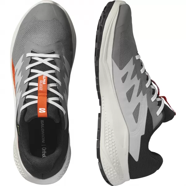  Herrenschuhe SALOMON ALPHAGLIDE GTX L47975300 CASTLEROCK/LUNAR ROCK/KIRSCHTOMATE 