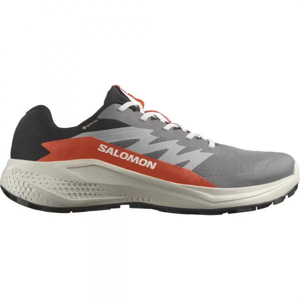  Herrenschuhe SALOMON ALPHAGLIDE GTX L47975300 CASTLEROCK/LUNAR ROCK/KIRSCHTOMATE 