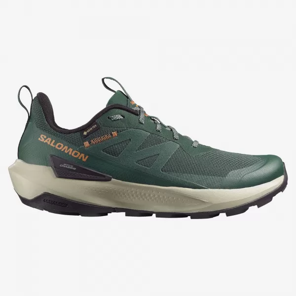  Herrenschuhe SALOMON ELIXIR ACTIV GTX L49229800 SKARABÄUS/GRÜNER GIEBEL/CHILI 