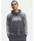 Herren-Sweatshirt UNDER ARMOUR UA RIVAL FLC CB HOOD 6003958-025 GRAU