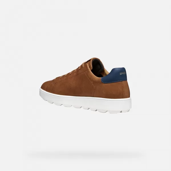  Herren-Sneaker GEOX SPHERICA ECUB-1 G014537 HELLBRAUN 