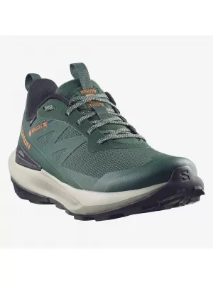 Herrenschuhe SALOMON ELIXIR ACTIV GTX L49229800 SKARABÄUS/GRÜNER GIEBEL/CHILI
