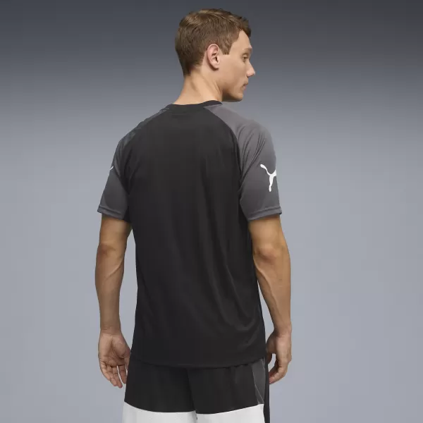  Funktions-T-Shirt für Herren PUMA INDIVIDUALLIGA GRAPH JERSEY 660578_03 PUMA SCHWARZ/PUMA WEIß 