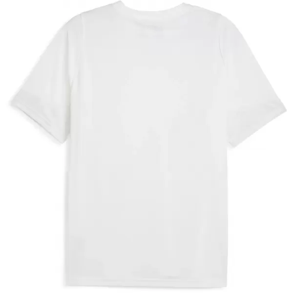  Funktions-T-Shirt für Herren PUMA TEAMCUP TRAINING JERSEY 659167-04 PUMA WEIß/PUMA SILBER 