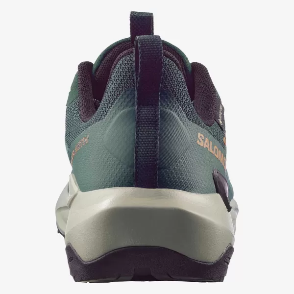  Herrenschuhe SALOMON ELIXIR ACTIV GTX L49229800 SKARABÄUS/GRÜNER GIEBEL/CHILI 