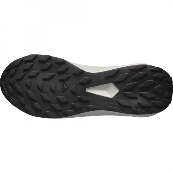  Herrenschuhe SALOMON ALPHAGLIDE GTX L47975300 CASTLEROCK/LUNAR ROCK/KIRSCHTOMATE 
