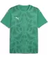 Funktions-T-Shirt für Herren PUMA TEAMULTIMATE JERSEY 706280-05 SPORT GREEN/ SPORTGRÜN/PUMAWEIß