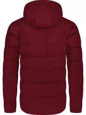 Herren-Winterjacke NORDBLANC BRAMBLE NBWJM8258 BURGUND