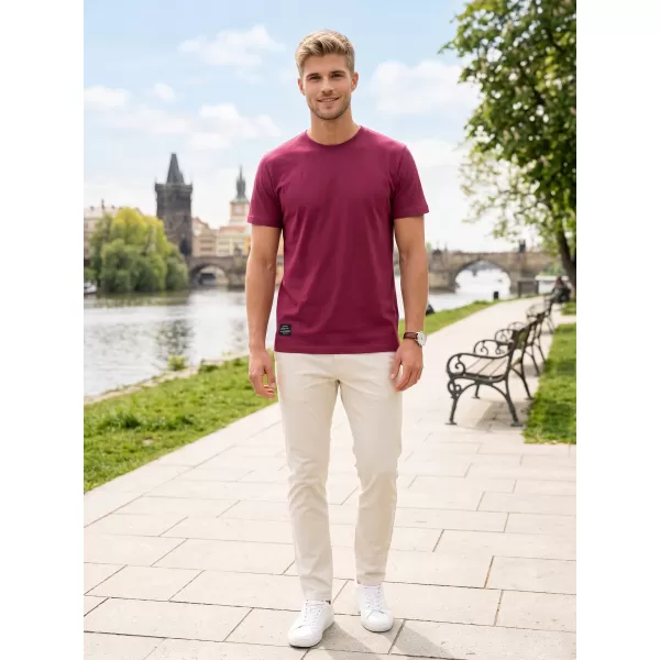  Herren-T-Shirt ALTISPORT NP/ALMST20001 BURGUND 