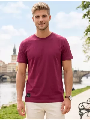 Herren-T-Shirt ALTISPORT NP/ALMST20001 BURGUND
