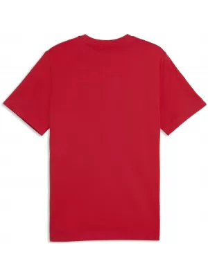 Herren-T-Shirt PUMA GRAPHICS BOX TEE 69436611 FÜR ALLE ZEITEN ROT