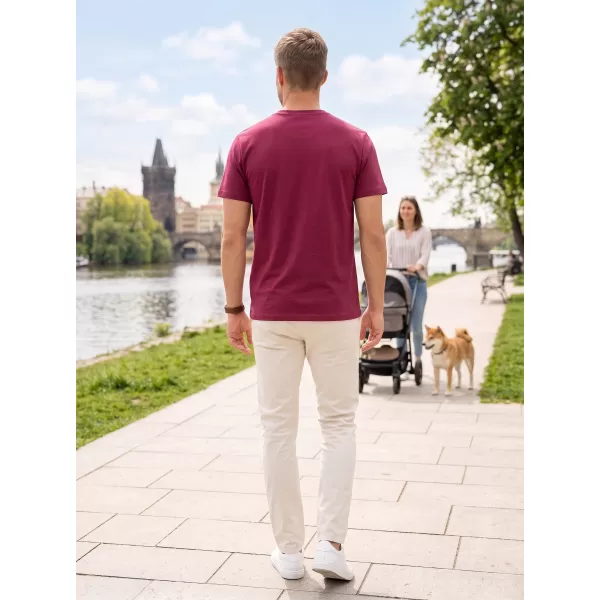  Herren-T-Shirt ALTISPORT NP/ALMST20001 BURGUND 
