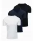 Herren-T-Shirt OMBRE OM-TSBS-0281 SCHWARZ/WEIß/BLAU