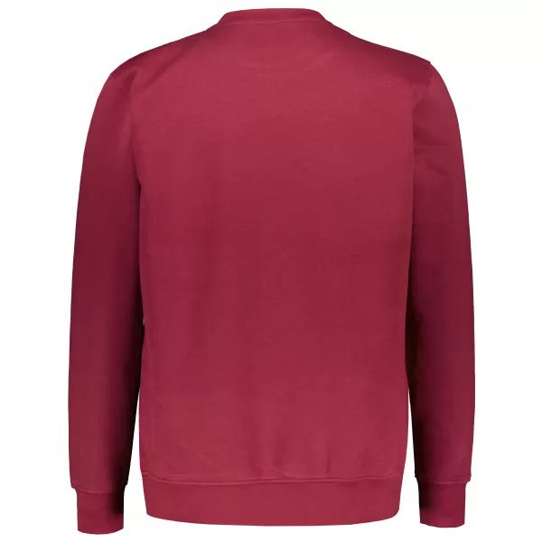  Herren-Sweatshirt ALTISPORT NP/ALMST43001 BURGUND 