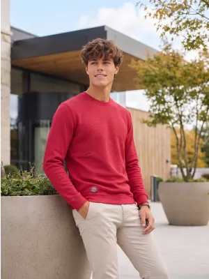 Herren-Sweatshirt ALTISPORT ICES BURGUND