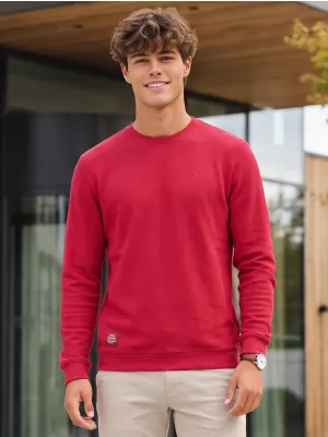 Herren-Sweatshirt ALTISPORT ICES BURGUND