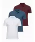 Herren-T-Shirt mit Kragen OMBRE OM-POBS-0171 WEIß/KASTANIENBRAUN/DUNKELBLAU