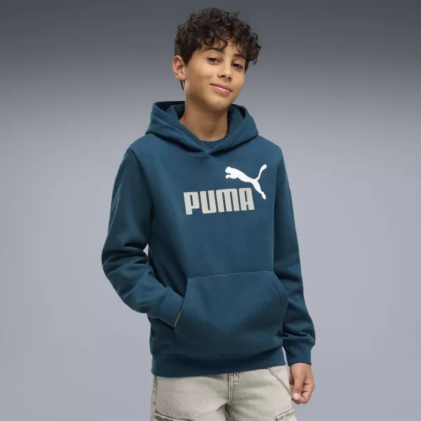  Kinder-Sweatshirt PUMA ESS 2 COLOR NO. 1 LOGO HOODIE FL B 68582236 MITTERNACHTSBENZIN 