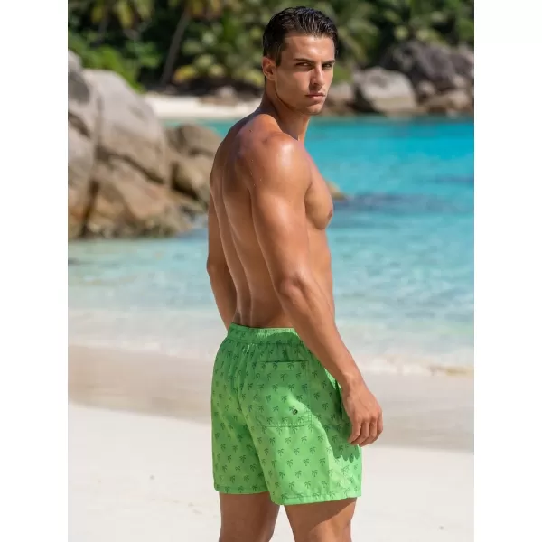  Herrenshorts DSTREET SX2585 GRÜN 