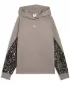 Damen-Sweatshirt PUMA SPORT ANIMAL STANDARD HOODIE FL 69400781 MAUSGRAU