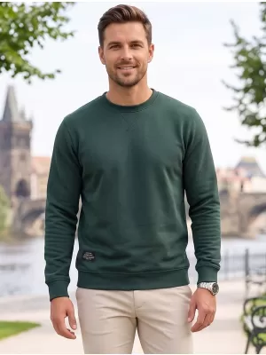 Herren-Sweatshirt ALTISPORT NP/ALMST43001 FLASCHENGRÜN