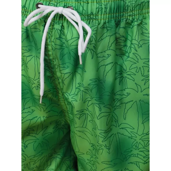  Herrenshorts DSTREET SX2589 GRÜN 