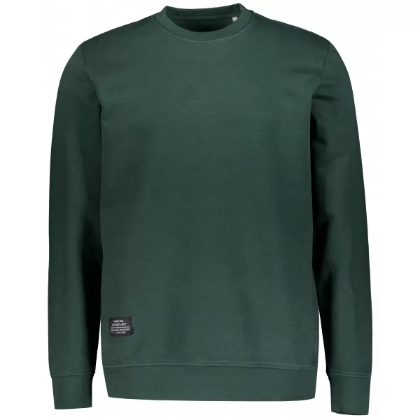 Herren-Sweatshirt ALTISPORT NP/ALMST43001 FLASCHENGRÜN 