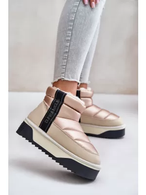 Schneemänner für Frauen D.FRANKLIN DFSH371010 BEIGE