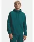 Herrenjacke UNDER ARMOUR VIBE WOVEN JACKET 6003001-338 GRÜN