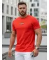 Herren-T-Shirt DSTREET RX5423 ORANGE