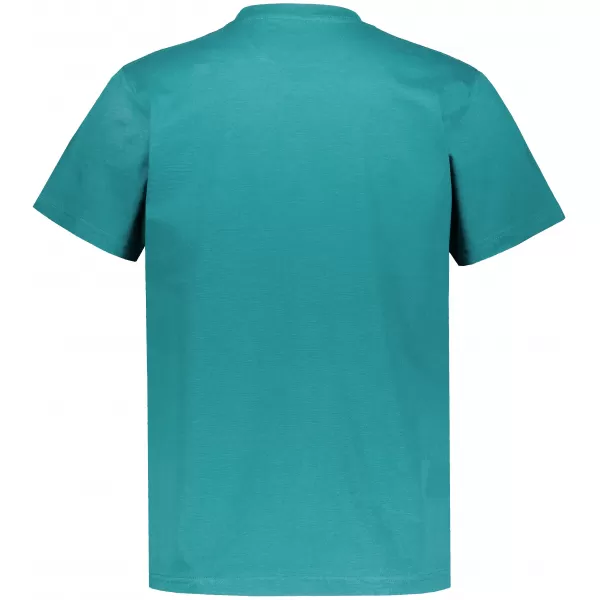  Herren-T-Shirt ALTISPORT NP/ALMST20001 BLAUGRÜN 